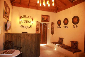 Aslan Guest House